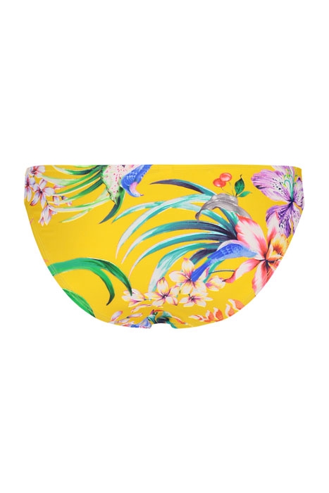 REGULAR BRIEF STRAPS SAYULITA SUNSHINE 2