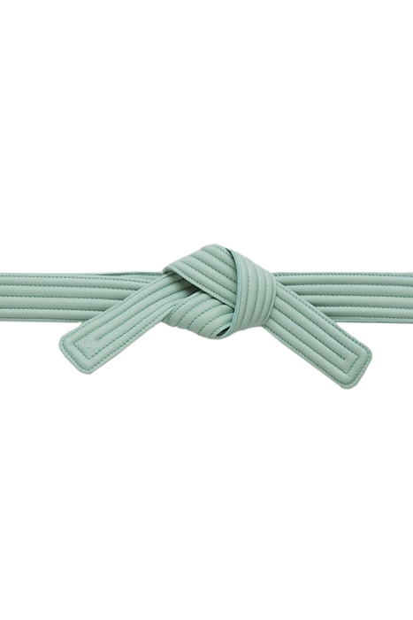 CLOSED BELT BELT SAGE GREEN 1