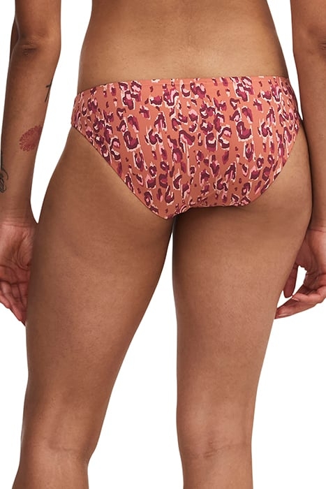 EOS ORANGE LEOPARD 3