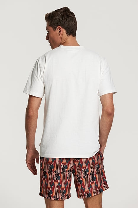 MEN TEE TACO TUESDAY JET STREAM WHITE 2