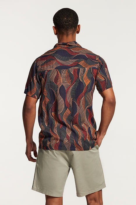 MEN COTTON STRETCH SHORTS JACK SALVIA GREEN 5