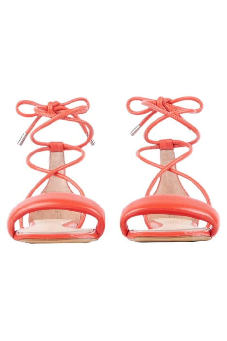 PANORA ITEM IN PINK 4