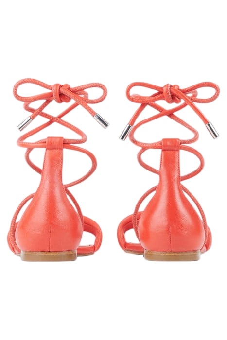 PANORA ITEM IN PINK 5