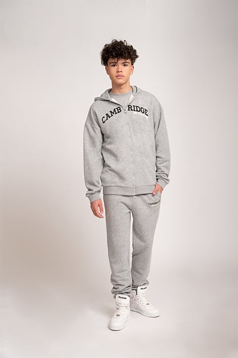 ONE CITY ZIP HOODIE LIGHT GREY MELANGE 2