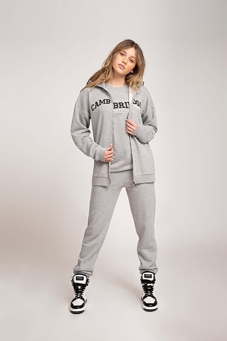 ONE CITY ZIP HOODIE LIGHT GREY MELANGE 1