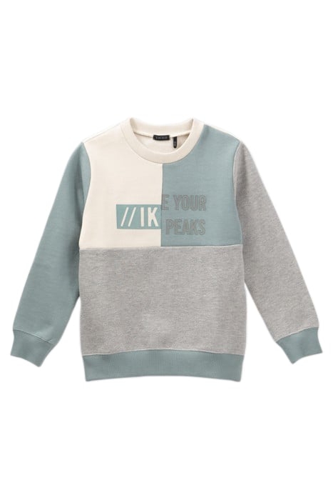 BOYS’ GREY, GREEN, AND ECRU SWEATSHIRT WITH RUBBER IMAGES 2