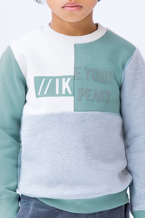 BOYS’ GREY, GREEN, AND ECRU SWEATSHIRT WITH RUBBER IMAGES 4