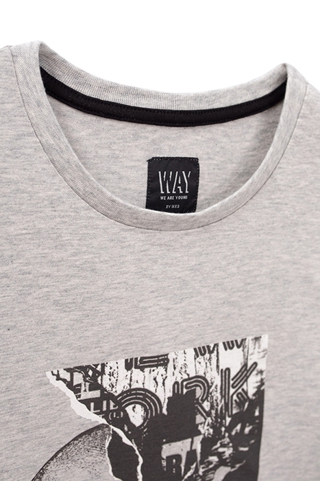 BOYS’ GREY DOUBLE IMAGE AND FLOCKED T-SHIRT GREY 5