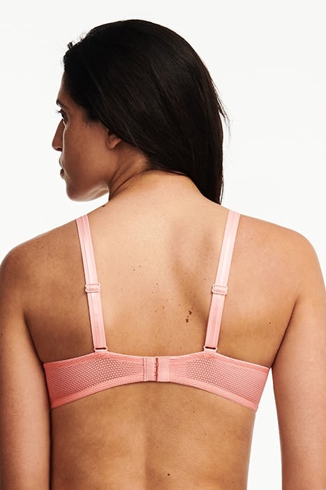 DAY TO NIGHT ORANGE 3