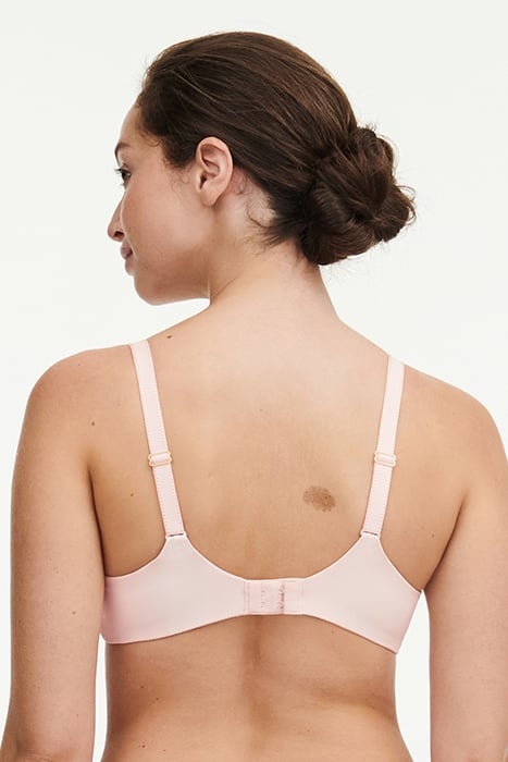 ORANGERIE DREAM ROSE 2