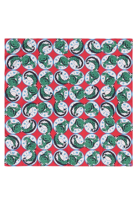 RED SQUIRRELS AND LOGOS SCARF 1