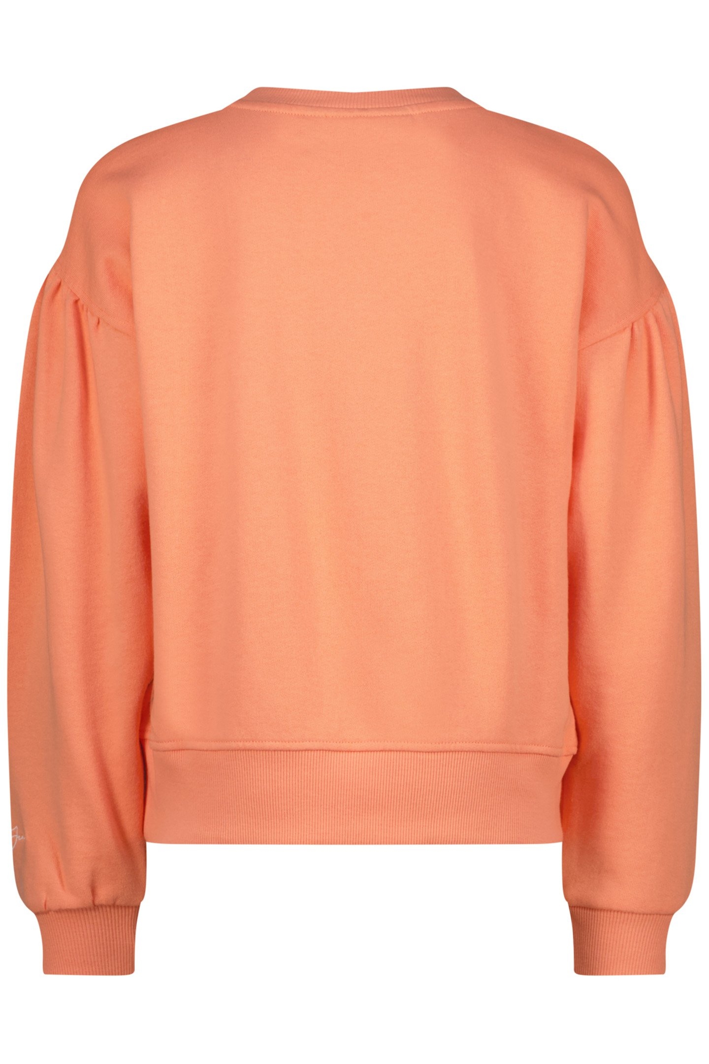 NORAN PASTEL PAPAYA 2