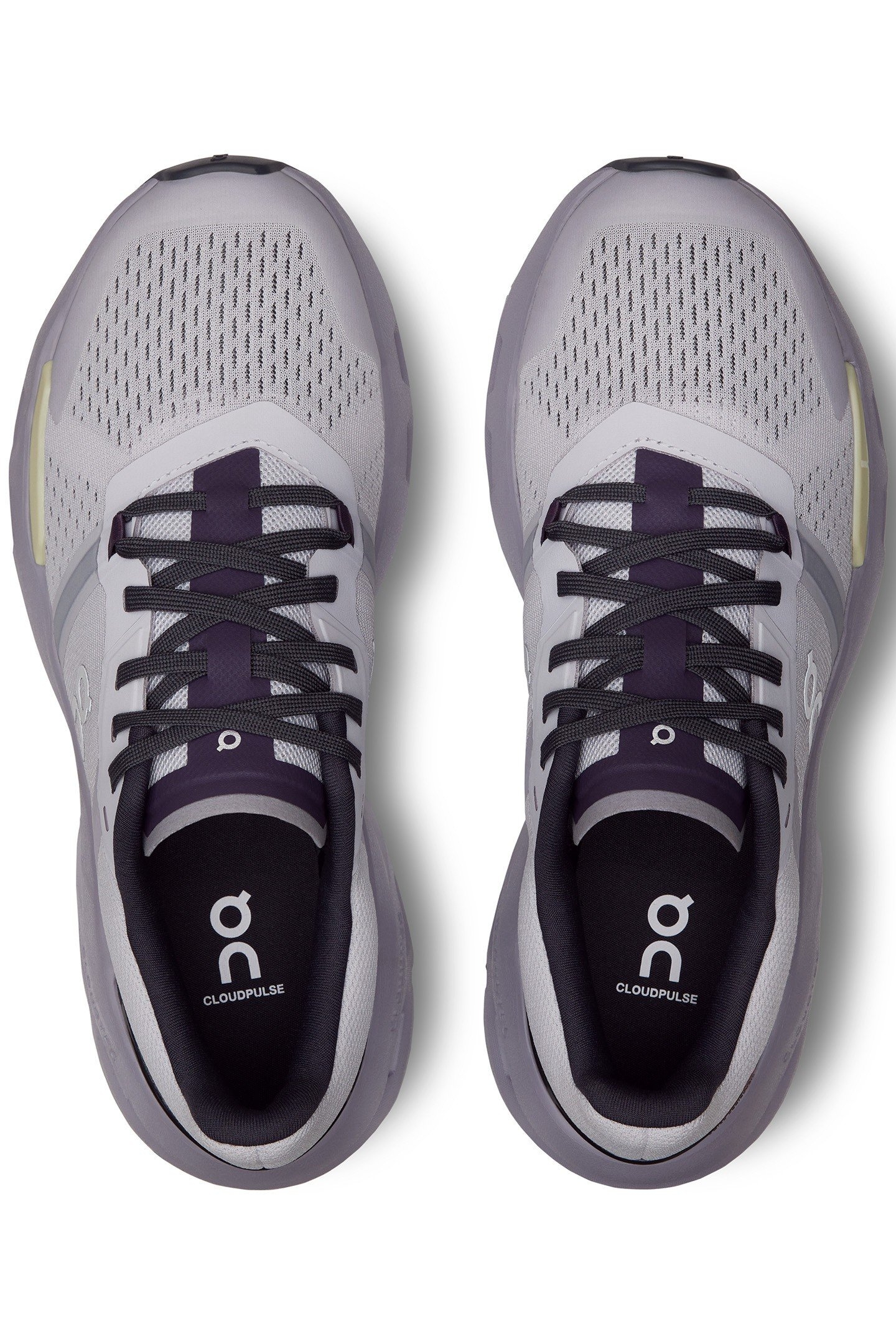 CLOUDPULSE 1 LAVENDER SEEDLING 3