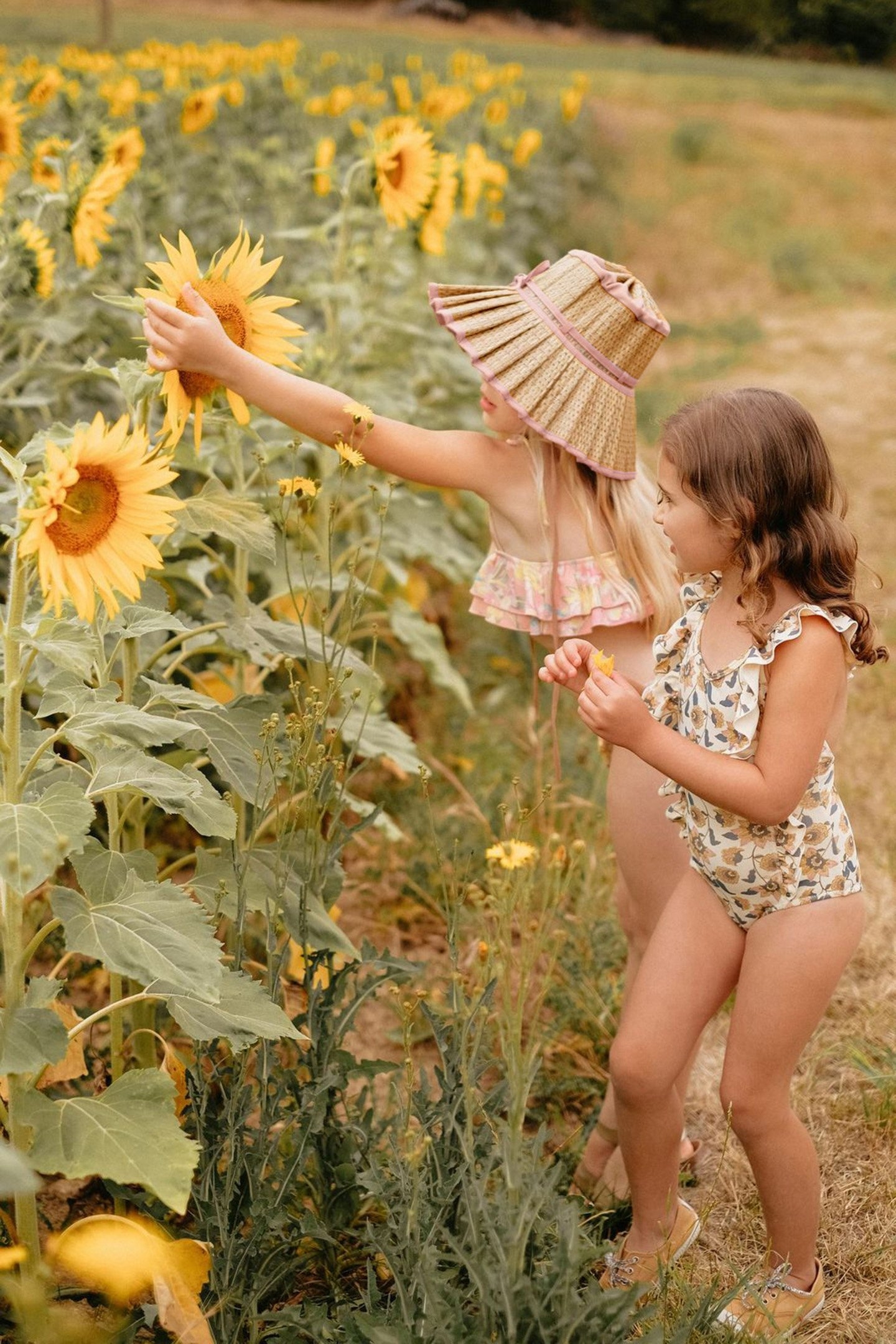 BIKINI ZACATA SIENNA PARROTS 5