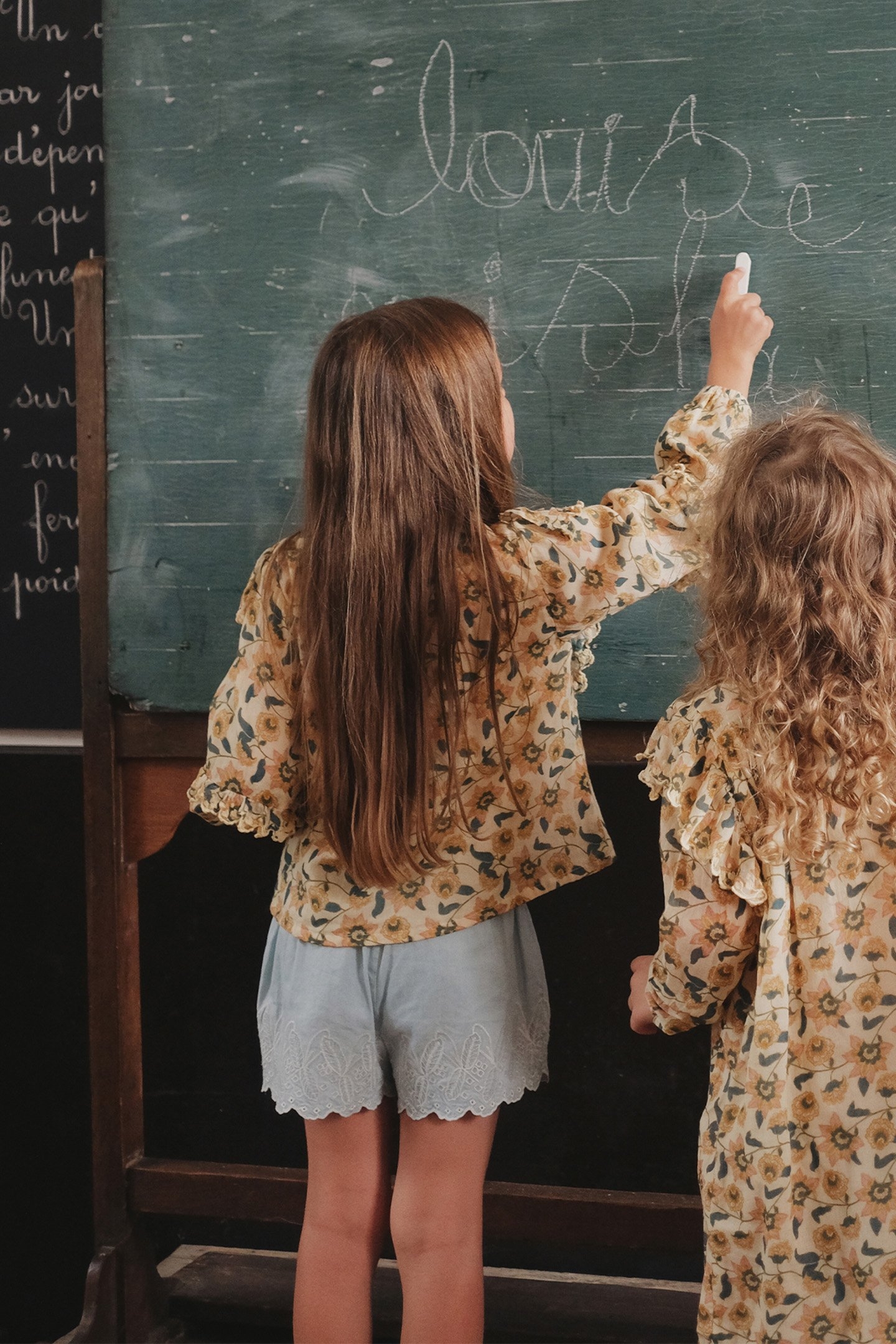 SHORTS LUISA CHAMBRAY 4