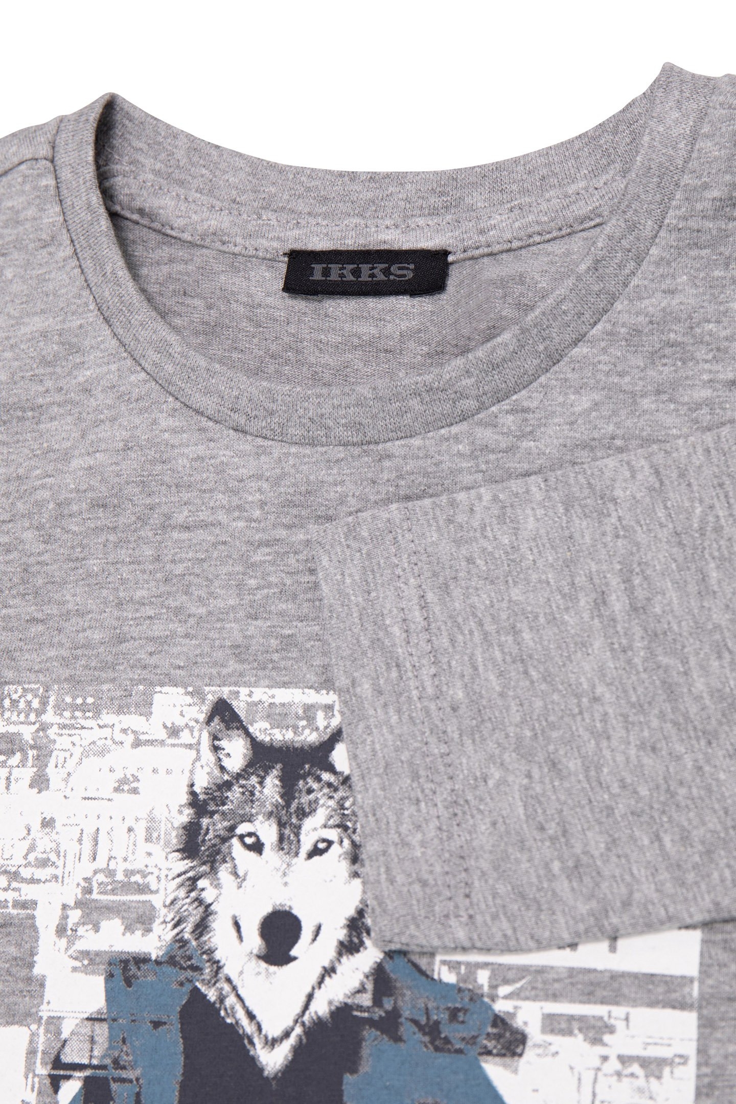 GREY ORGANIC COTTON T-SHIRT VISUAL BOY WOLF-DOUDOUNE 3