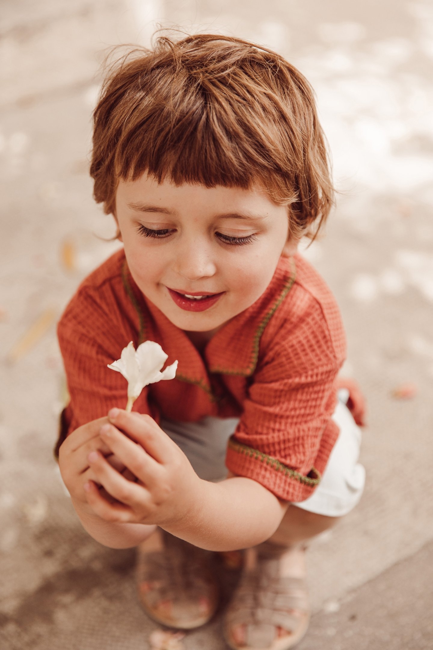 SHIRT AMELIO TERRACOTTA 6