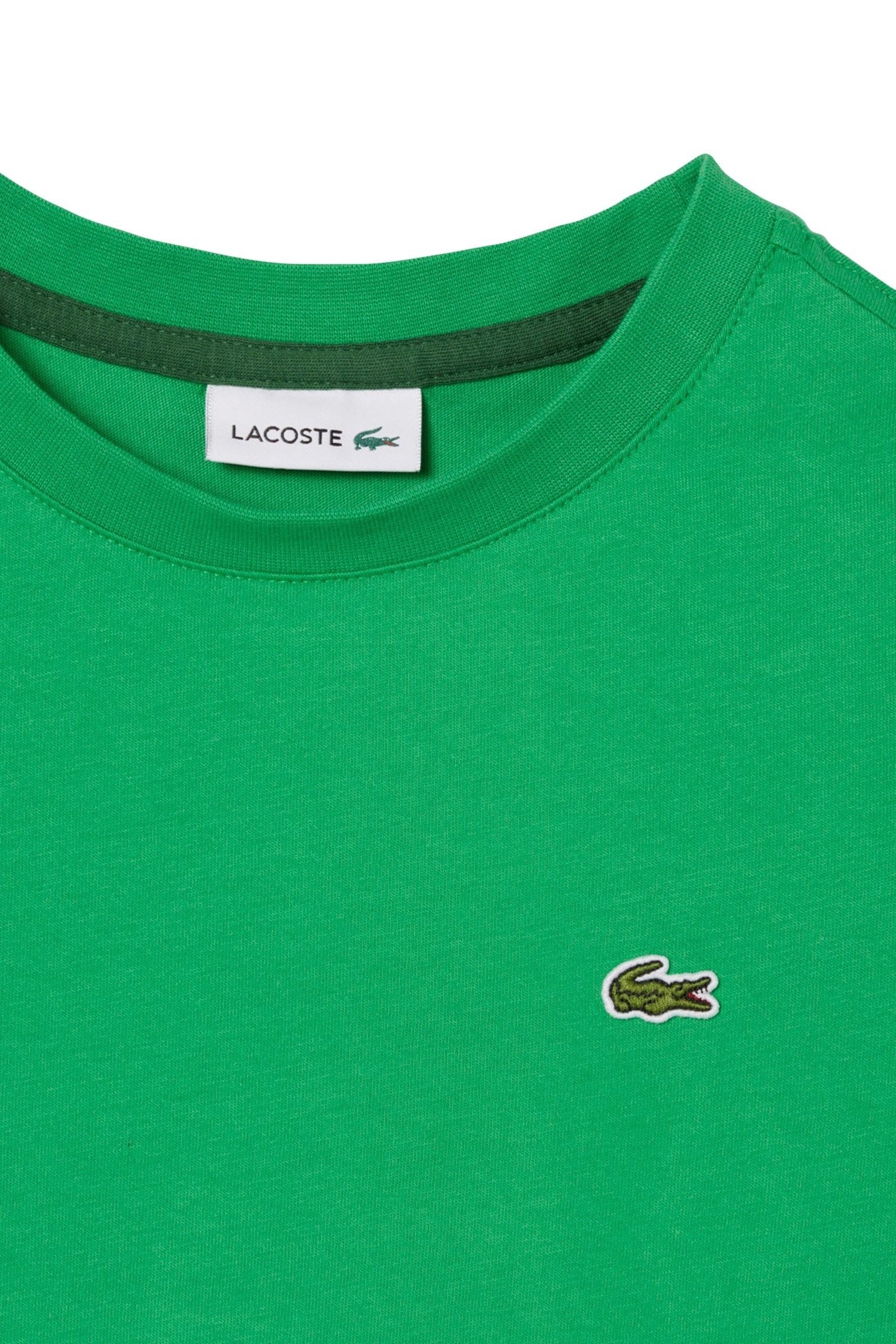 CHILDREN T-SHIRT CALATHEA 7