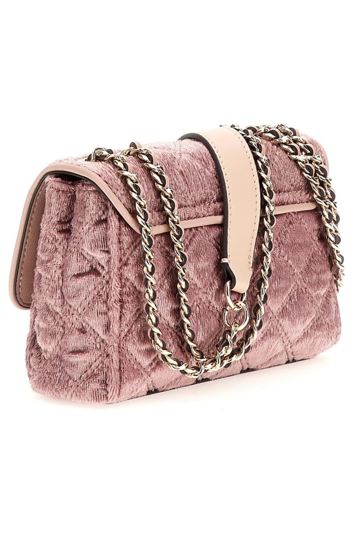 GIULLY 2 COMP CONVER MAUVE 1